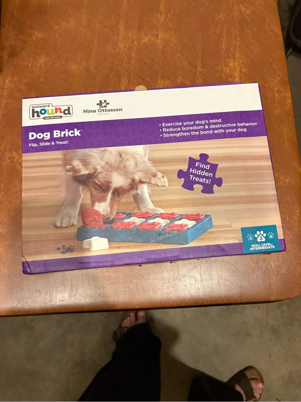 Outward Hound Dog Brick Puzzle Toy - Blue & Red